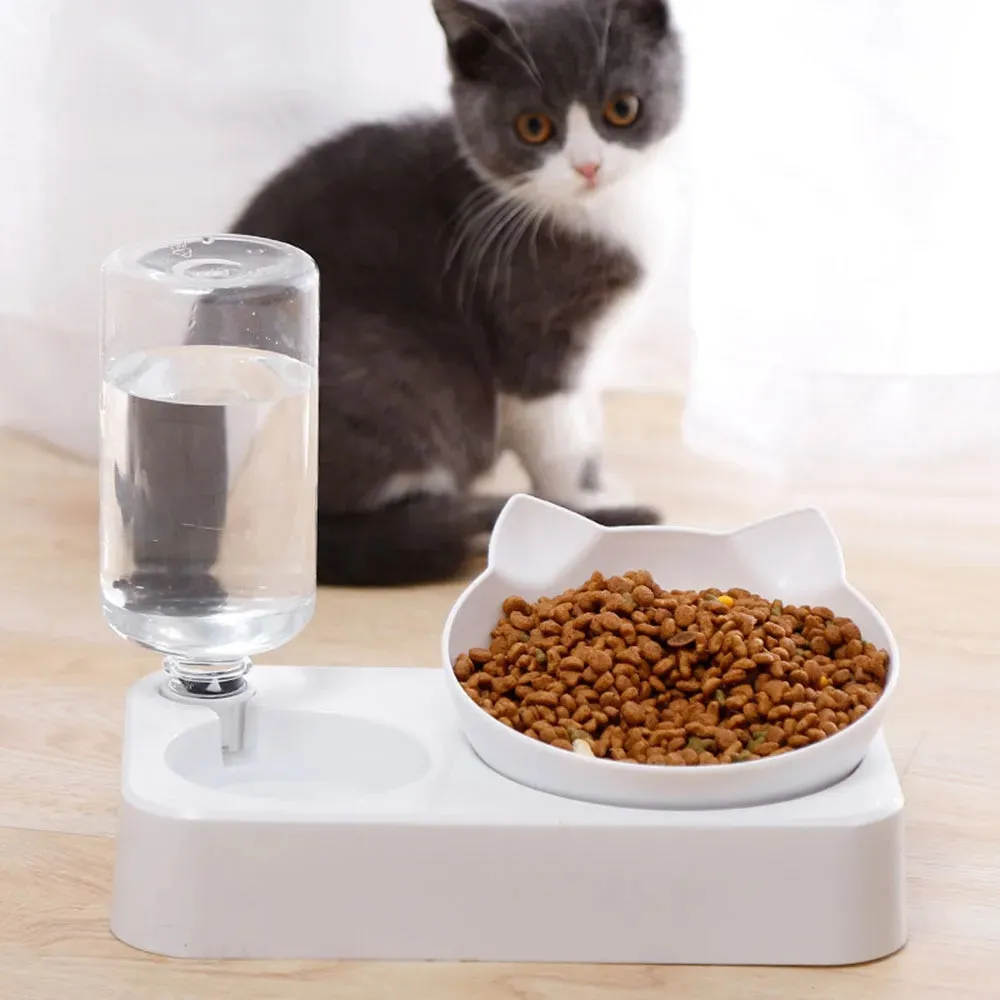 15 Tilt Pet Bowl Protect your Dog s Neck and Spine Automatic Feeder for Food and Water Pet Feeding Supplies