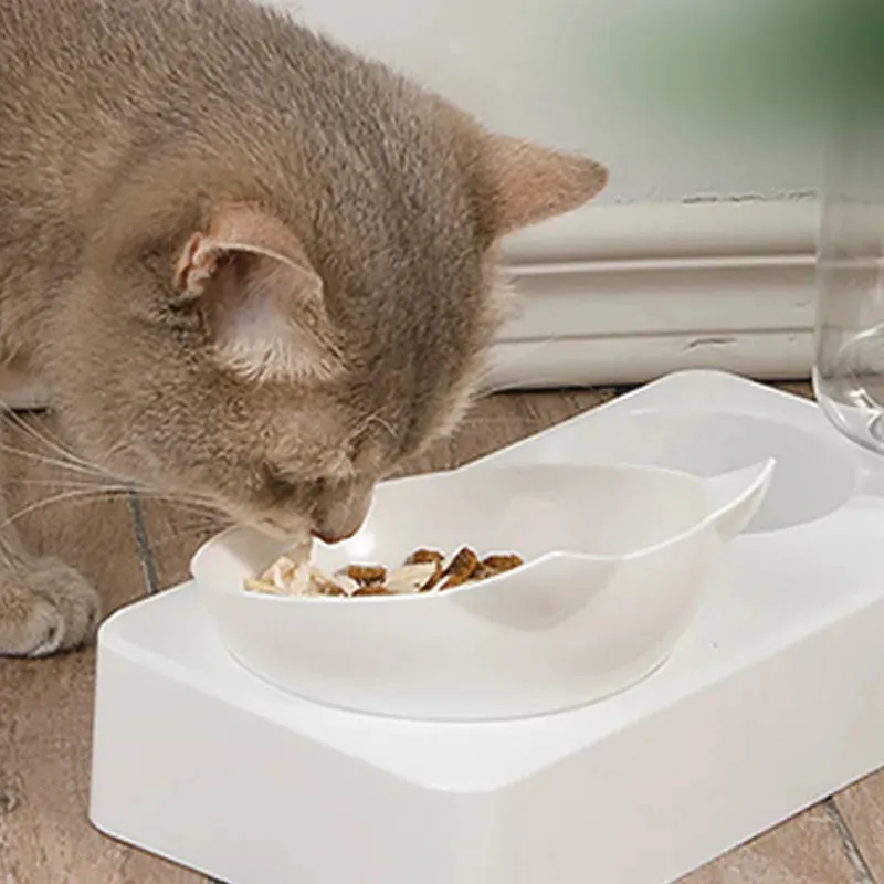 15 Tilt Pet Bowl Protect your Dog s Neck and Spine Automatic Feeder for Food and Water Pet Feeding Supplies