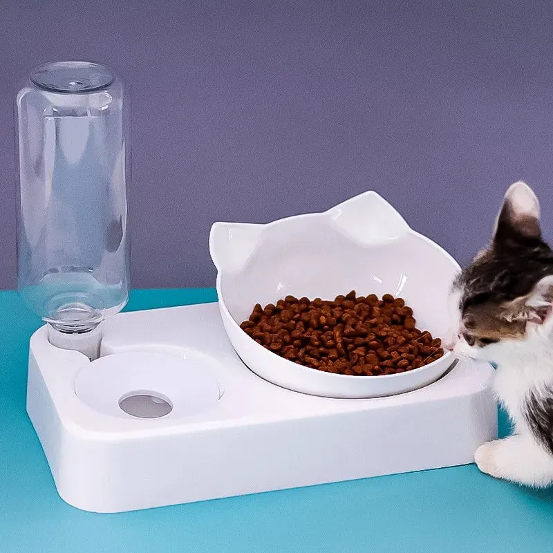 15 Tilt Pet Bowl Protect your Dog s Neck and Spine Automatic Feeder for Food and Water Pet Feeding Supplies