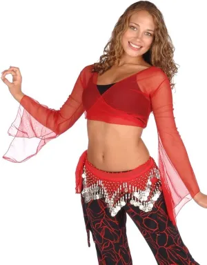 Belly Dance Sheer Chiffon Choli Top