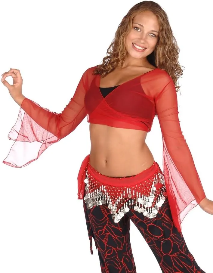 Belly Dance Sheer Chiffon Choli Top