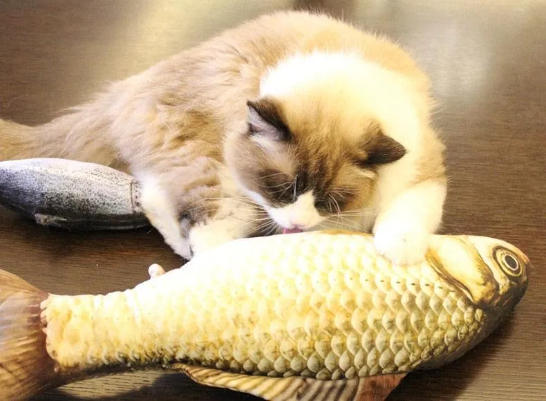 Cat Scratching Fish with Catnip