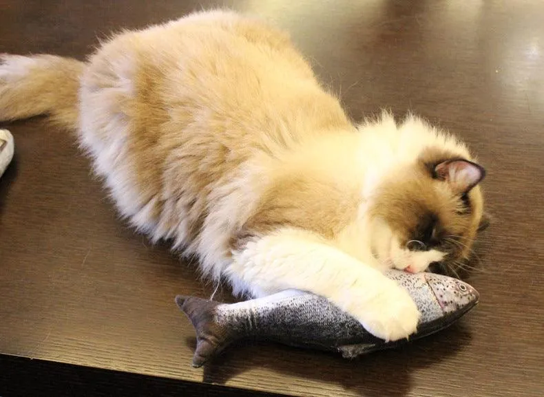 Cat Scratching Fish with Catnip