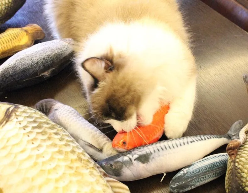 Cat Scratching Fish with Catnip