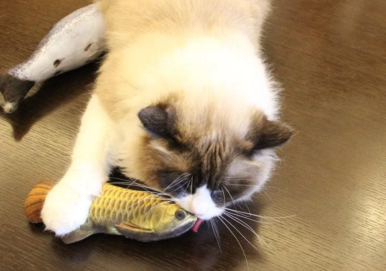 Cat Scratching Fish with Catnip