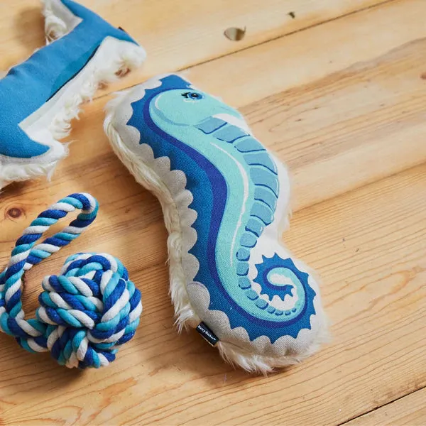 Coastal Seahorse Dog Toy