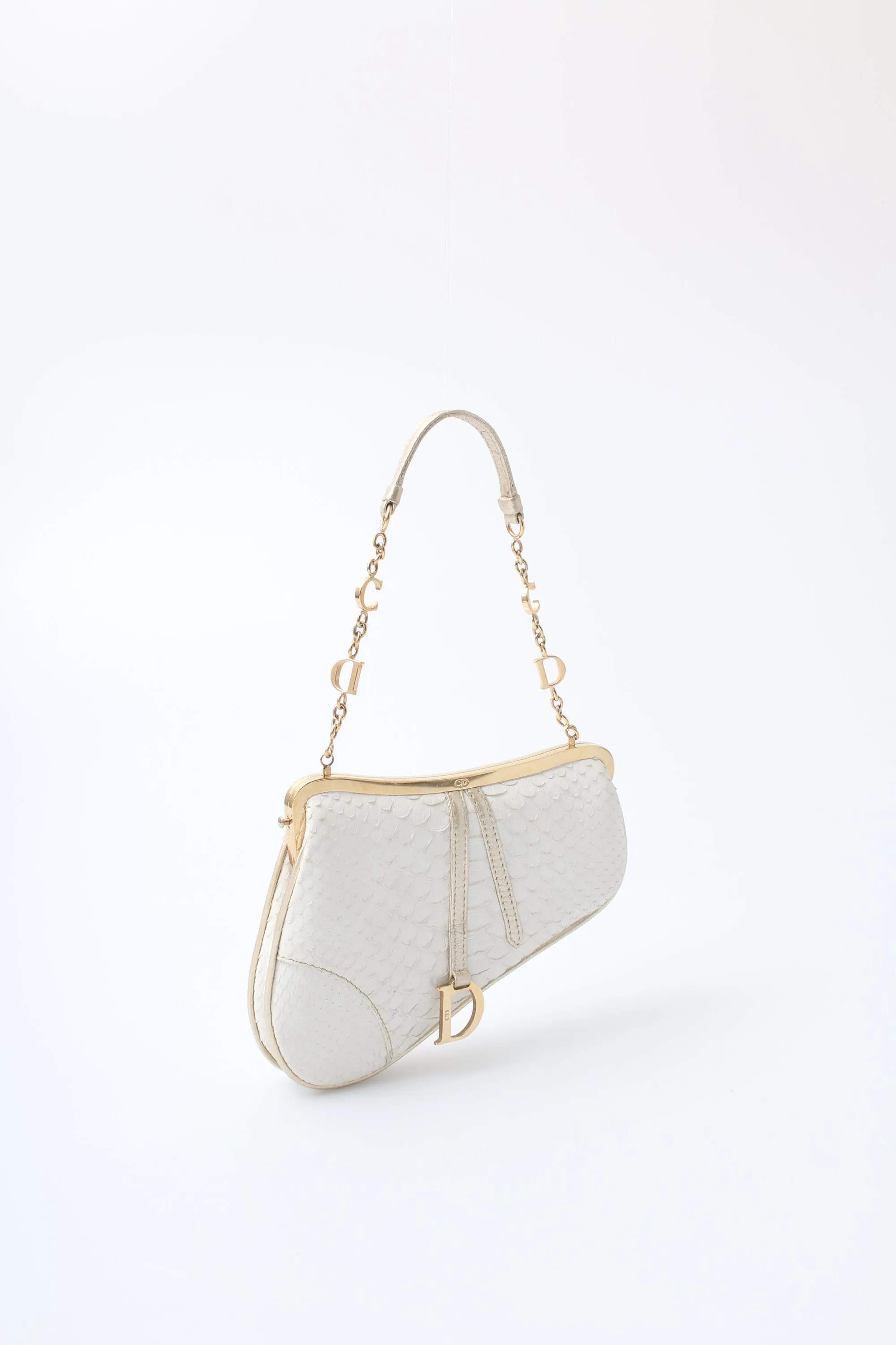 Dior Mini Saddle Bag