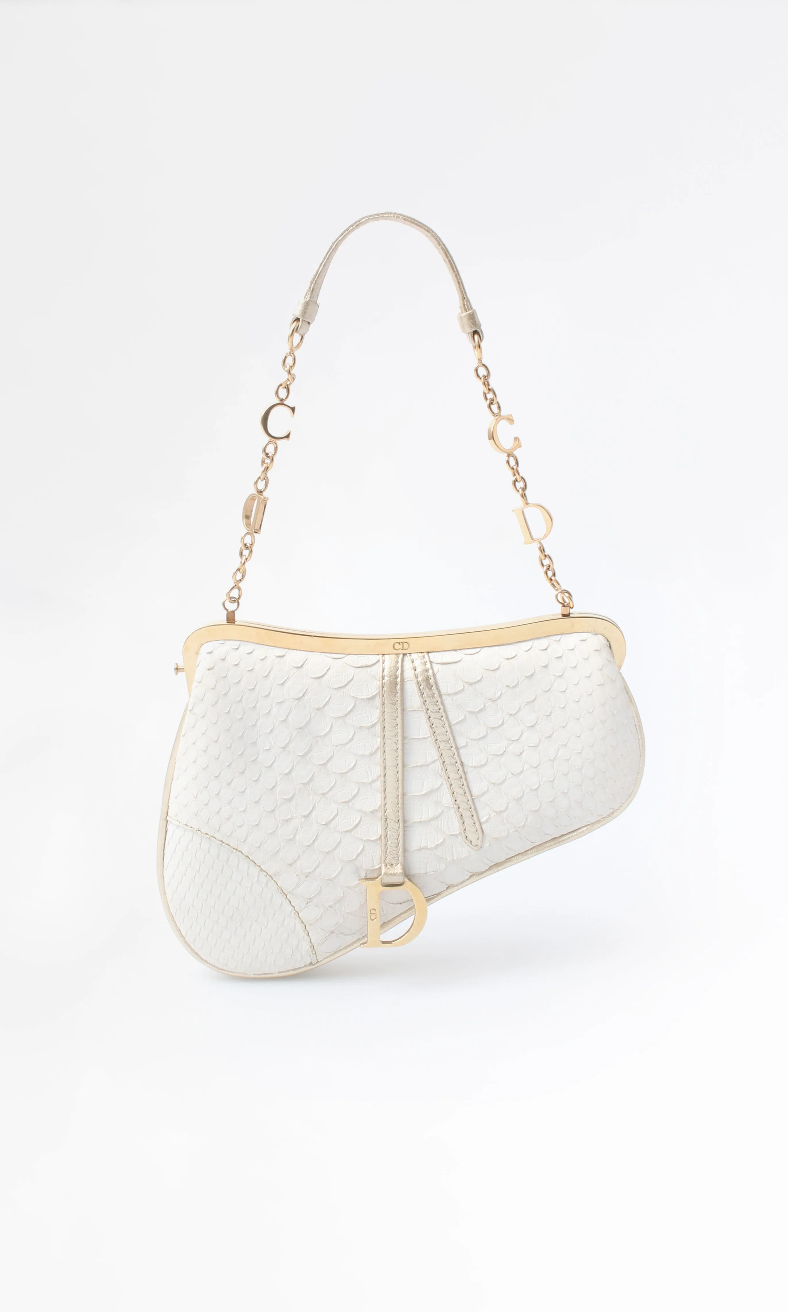 Dior Mini Saddle Bag