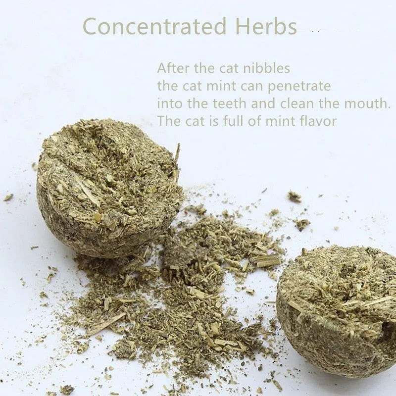 Natural Catnip Kit
