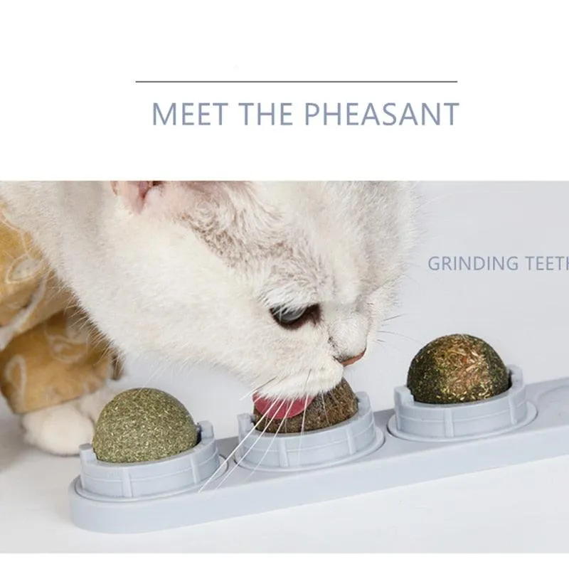 Natural Catnip Kit
