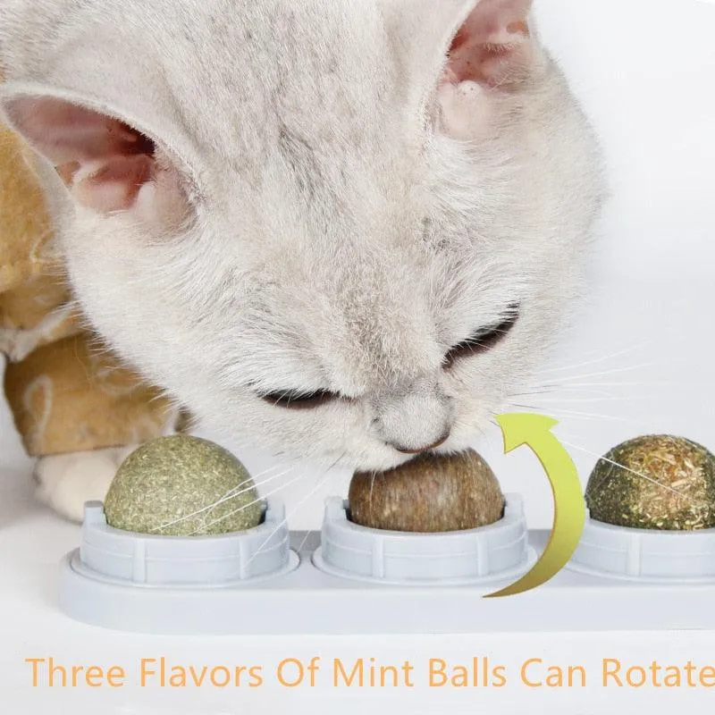 Natural Catnip Kit