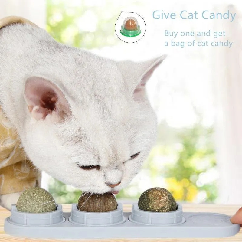Natural Catnip Kit
