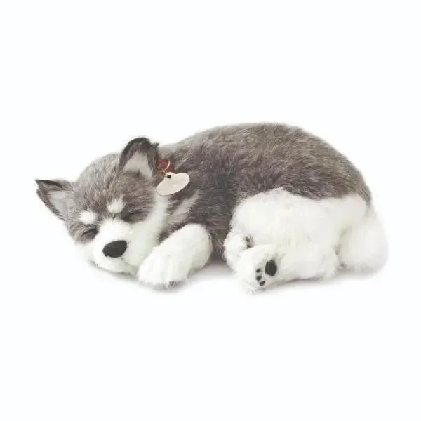 Perfect Petzzz