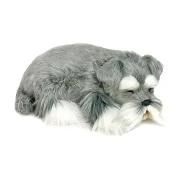Perfect Petzzz