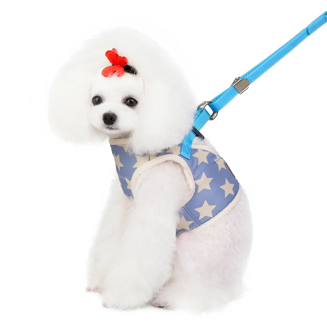Pet leash five-pointed star pattern pet clothing