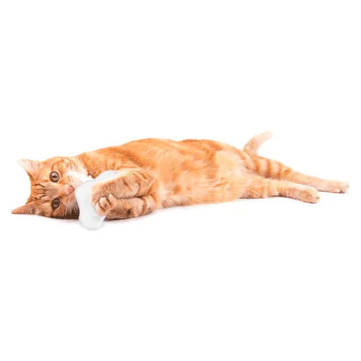 Silvervine Cloud Nine & Puff Toy Bundle
